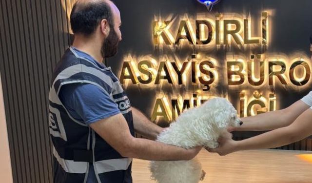 Kadirli’de Bahçeden Çalınan Köpek Bulundu