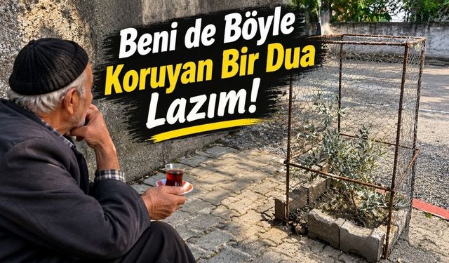 Osmaniye’de zeytin fidanına 'zırhlı' koruma!