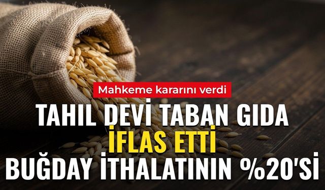 Türkiye'nin gıda devi iflas etti! Buğday ithalatının yaklaşık yüzde 20'sini yapıyordu