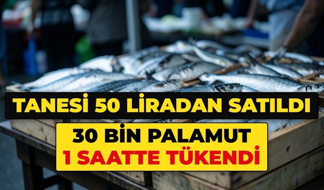 Tanesi 50 liradan satışa çıktı, 30 bin palamut 1 saatte tükendi