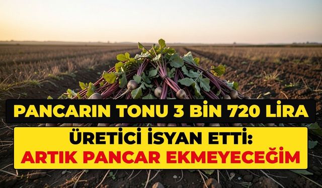 Pancarın ton fiyatı belli oldu. Üretici: Artık pancar ekmeyeceğim