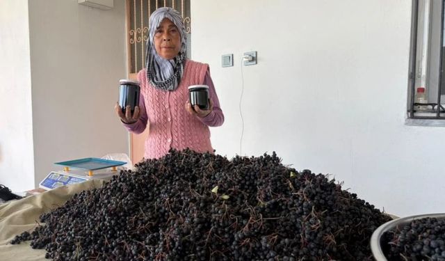 Oğlunun Tavsiyesiyle Başladı, Aronyanın Reçelini Yarım Kilosu 400 Liradan Satıyor