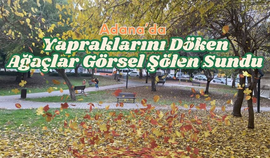 Adana’da Yapraklarını Döken Ağaçlar Görsel Şölen Sundu