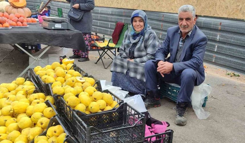 Kendi bahçesinde yetiştirdikleri ayvaları satarak 7 çocuk okuttular