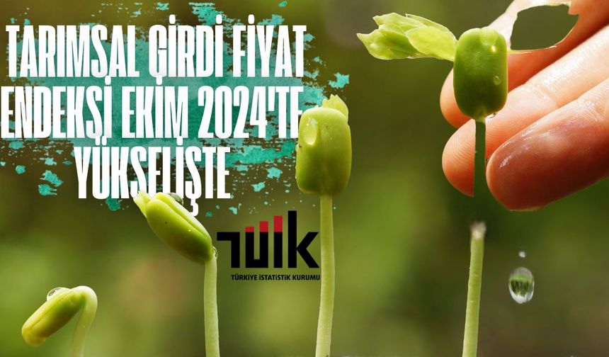 Tarımsal Girdi Fiyat Endeksi Ekim 2024'te Yükselişte