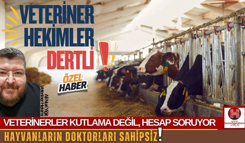 Kutlama Değil İsyan, Veterinerler Yeter Diyor!