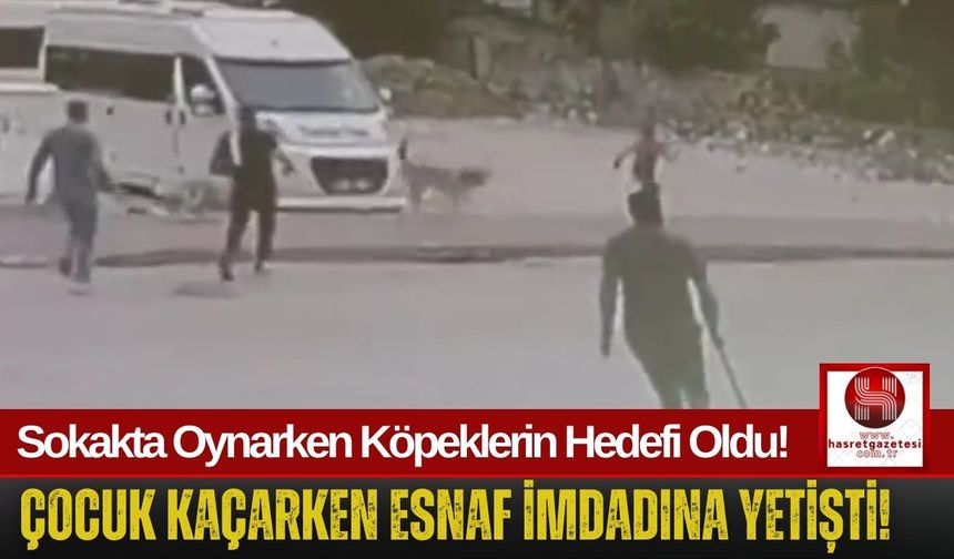 Köpeklerin Saldırdığı Çocuk Son Anda Kurtarıldı!