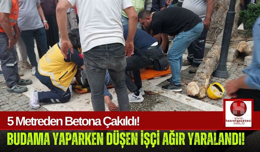 Budama Yaparken 5 Metreden Düşen İşçi Hastanelik Oldu!