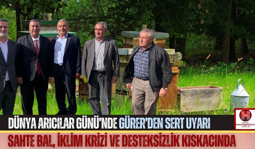 Gürer: “Sahte Bal Arıcılığı Bitiriyor, Denetim Yetersiz”