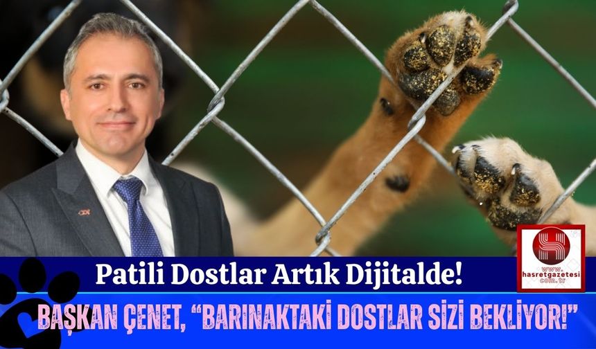 Osmaniye Belediyesi'nden Barınaktaki Hayvanlar İçin Dijital Adım!