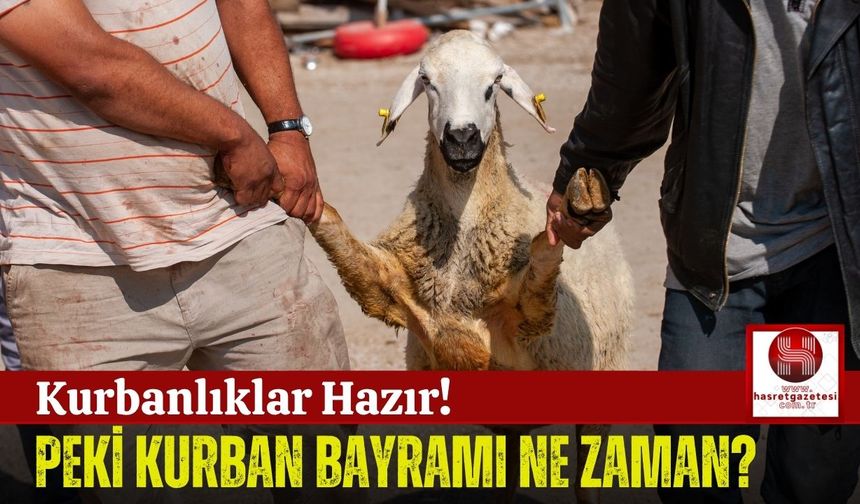 2025 Kurban Bayramı Tarihi Belli Oldu! Bayram Tatili Kaç Gün?