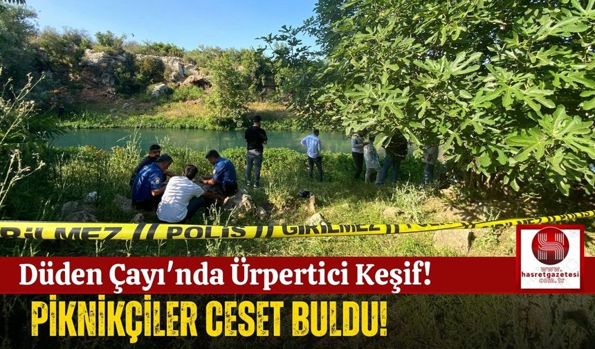Ailesiyle Pikniğe Gidenler Cesetle Karşılaştı!