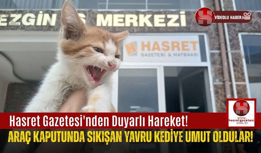 Hasret Gazetesi'nin Duyarlı Ekibi, Bir Canın Kahramanı Oldu!