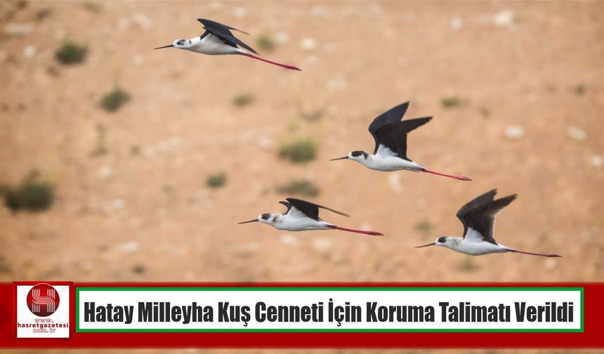 Hatay Milleyha Kuş Cenneti İçin Koruma Talimatı Verildi
