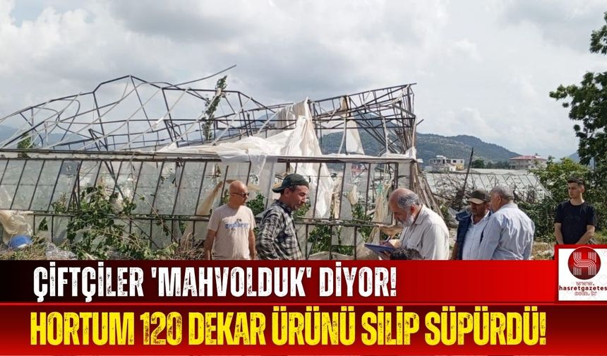 Acı Bilanço Ortaya Çıktı! Hortum 120 Dekarlık Alanı Yok Etti!