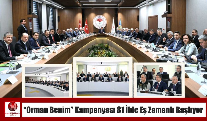 Orman Benim” Kampanyası 81 İlde Eş Zamanlı Başlıyor