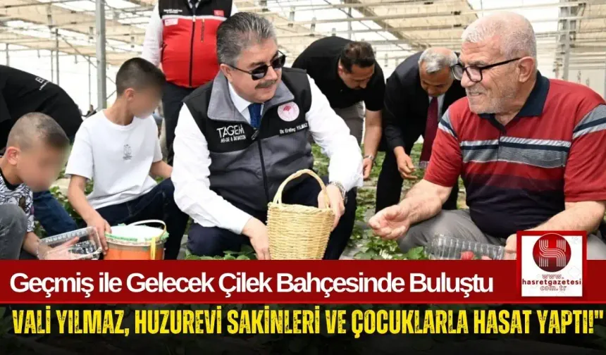 Vali Yılmaz, Huzurevi ve Çocuk Evleri’nde Kalanlarla Çilekleri Dalından Topladı!
