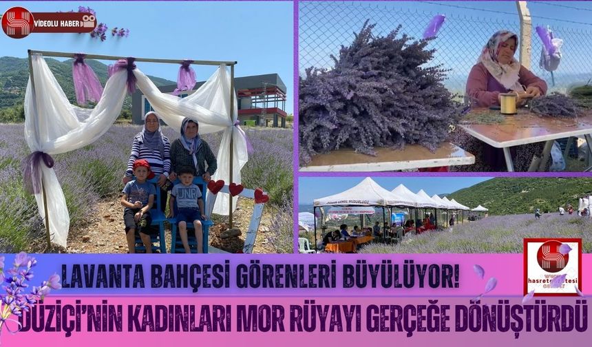 Düziçi’nin Kadınları Toprağa Umut Ekti, Lavanta Açtı!