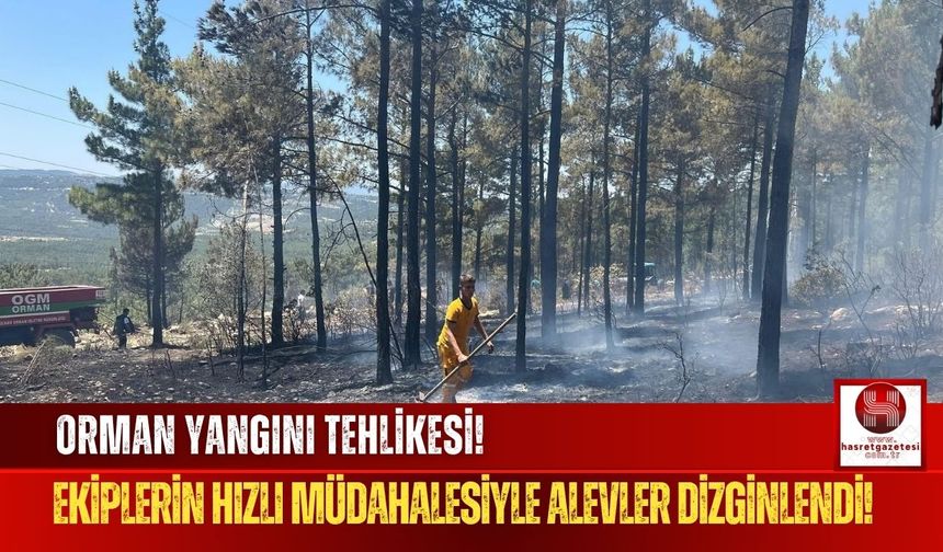 Orman Yangını Ekipler Sayesinde Söndürüldü!
