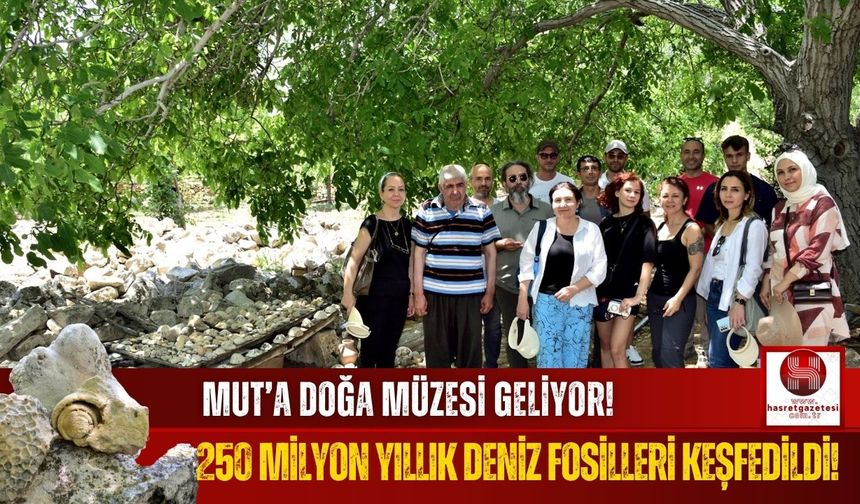 Mut'ta 250 Milyon Yıllık Deniz Fosilleri Keşfedildi!