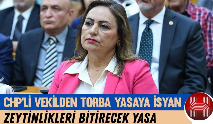 CHP’li Dr. Müzeyyen Şevkin : “Zeytinlikler madenciliğe kurban edilemez”