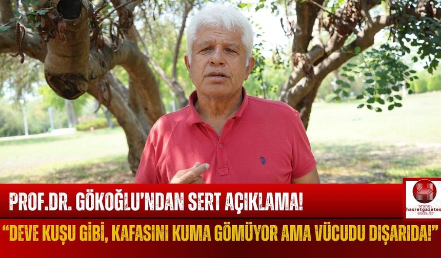Prof. Dr. Gökoğlu'ndan Düşündürücü Açıklamalar!