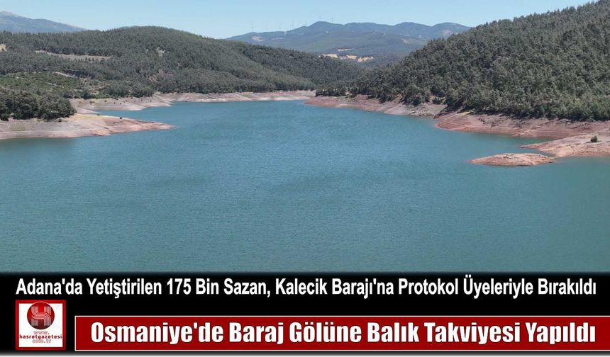 Adana’da Yetiştirilen 175 Bin Sazan, Kalecik Barajı’na Protokol Üyeleriyle Bırakıldı