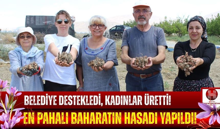 Belediye Destekledi, Kadınlar Üretti! İlk Hasattan Güzel Verim!