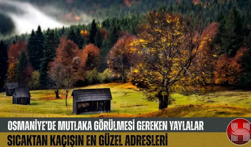 Osmaniye'nin Serin Cennetleri: Çukurova Sıcağında Huzur Vaat Eden 4 Yayla