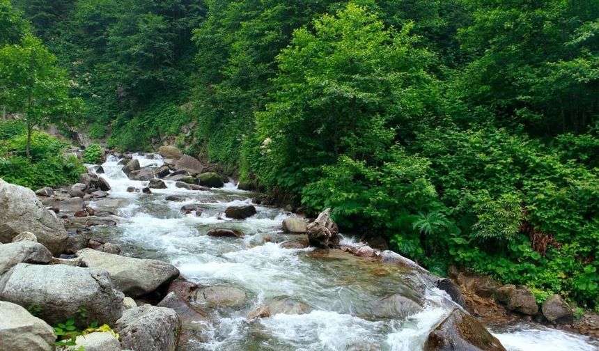 Osmaniye’de Piknik Yapılacak En Güzel Yerler