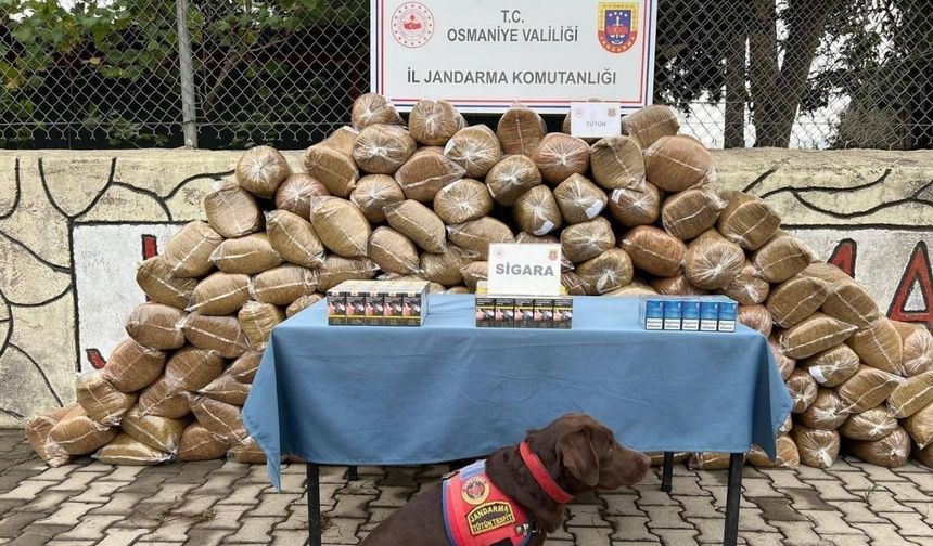 Osmaniye’de jandarmadan büyük operasyon: Kaçak sigara, silah ve uyuşturucu ele geçirildi