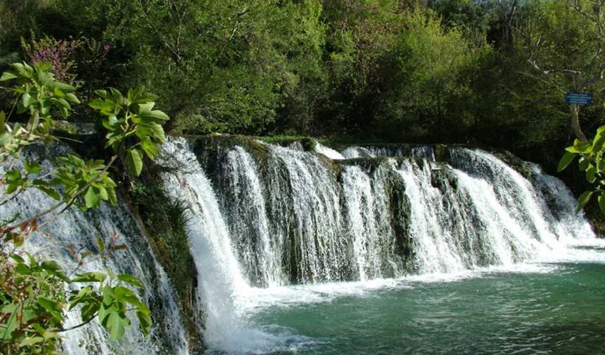 Osmaniye'de Görenleri Hayrete Düşüren Yeşil ve Mavinin Birleştiği Altın