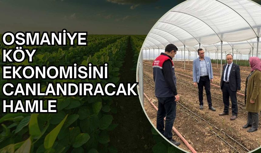 Osmaniye köy ekonomisini canlandıracak hamle