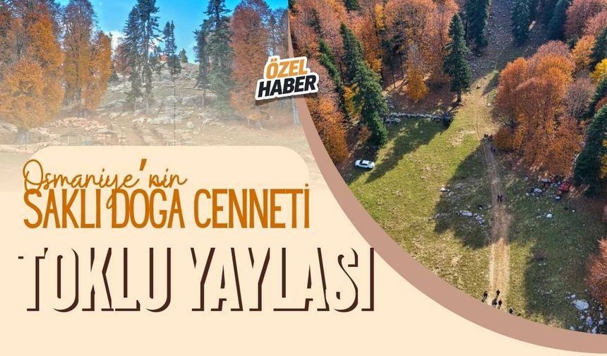 Osmaniye’nin Saklı Doğa Cenneti Toklu Yaylası