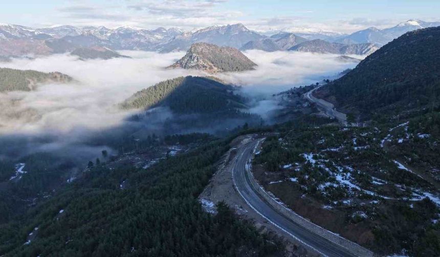 Adana Feke’de sisle örtülenen ormanlar büyüledi