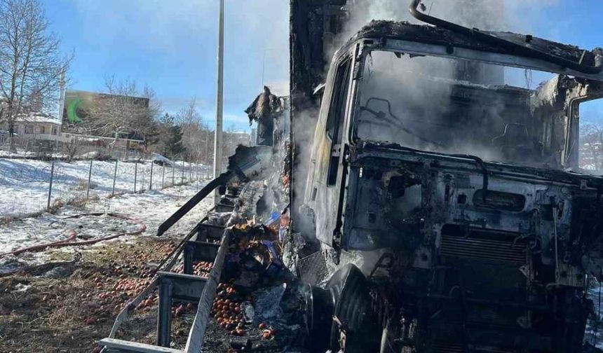 Adana Pozantı Otoyolu’nda narenciye yüklü tır yandı