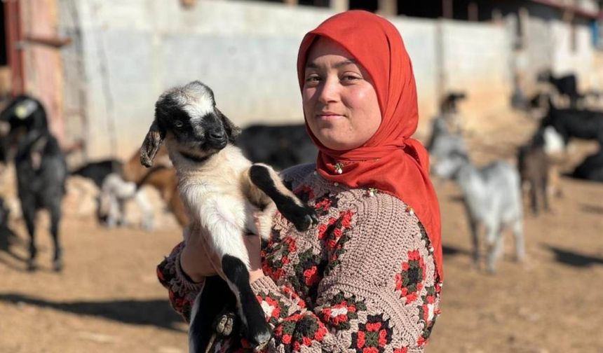 Diploması Osmaniye’den, Sevdası Yayladan: İşte Diplomalı Yörük Kızı!