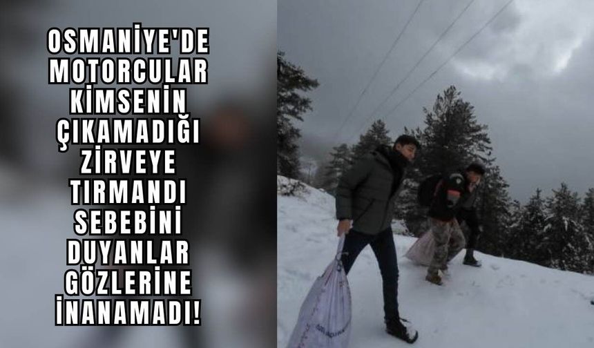Osmaniye'de Motorcular Kimsenin Çıkamadığı Zirveye Tırmandı: Sebebini Duyanlar Gözlerine İnanamadı!