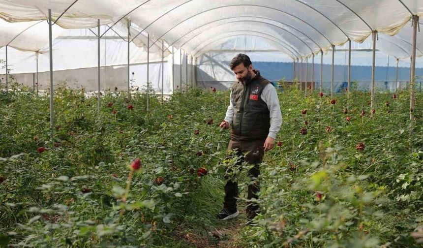 Adana’da sevgililerin gülleri dalında kurudu