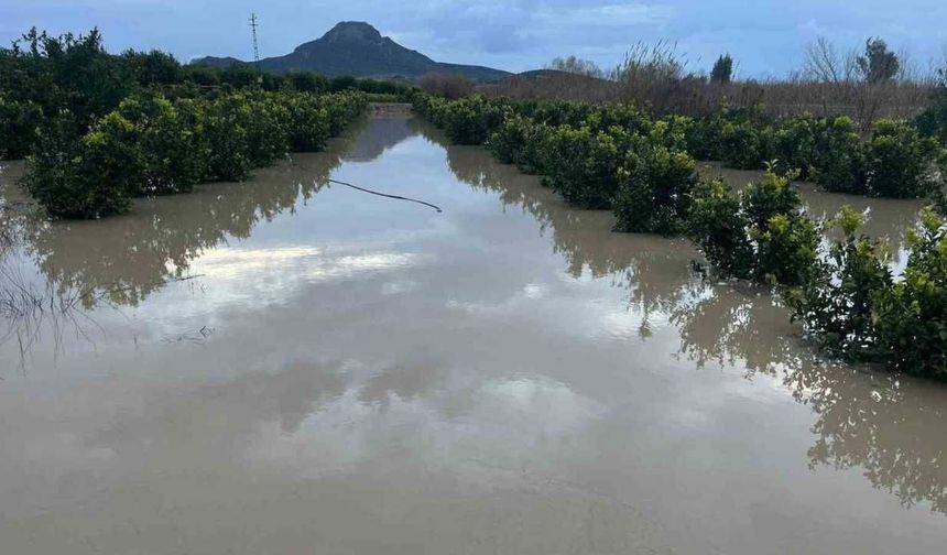 Adana’da şiddetli yağış tarlaları sular altında bıraktı
