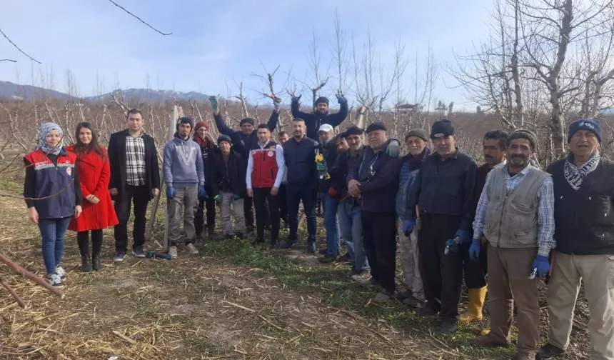 Düziçi’nde Meyve Bahçelerinde Yeni Sezon Hazırlığı Uygulamalı Budama Eğitimi Düzenlendi