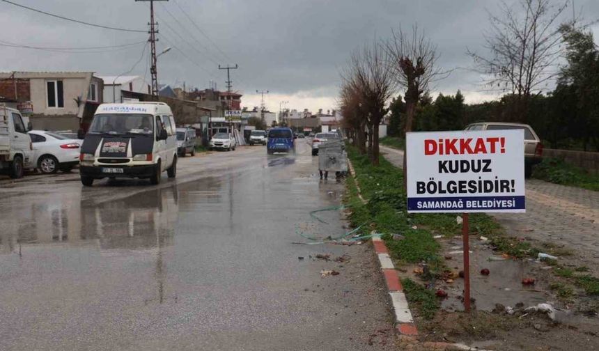 Hatay’da 4 mahalle kuduz nedeniyle karantinaya alındı