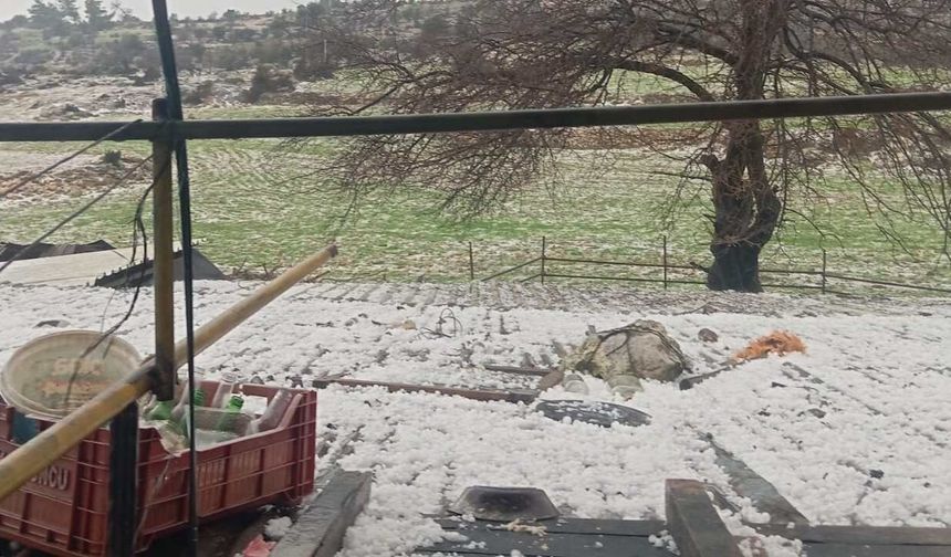 Mersin’de dolu yağışı ekili alanlara zarar verdi