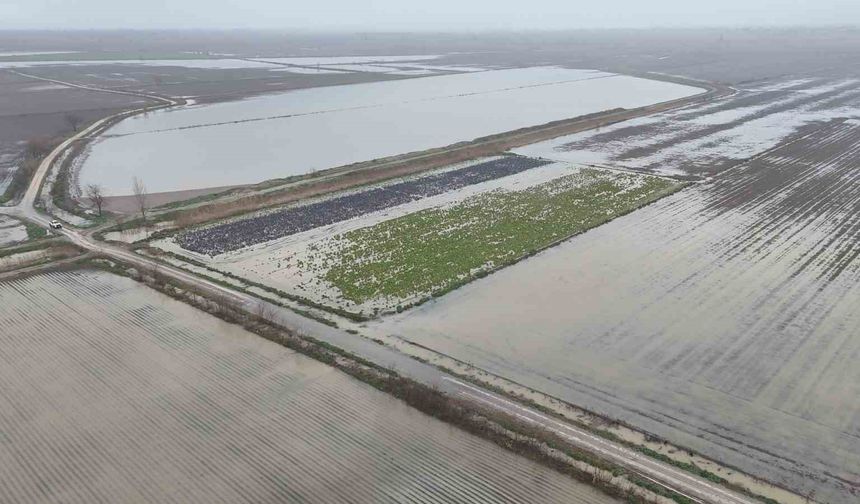 Osmaniye’de Sağanak Felaketi: Binlerce Dönüm Tarım Arazisi Sular Altında