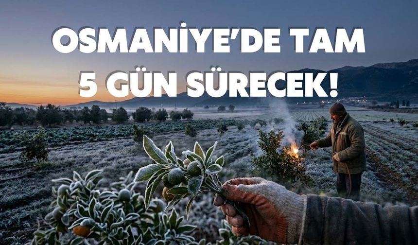 Osmaniye'de Üreticiye Kötü Haber: Gece Yarısı Başlıyor! Tam 5 Gün Sürecek
