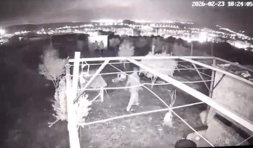 Osmaniye'de Vicdanları Sızlatan Hırsızlık: Çocukların Hayalleriyle Birlikte Çaldılar!