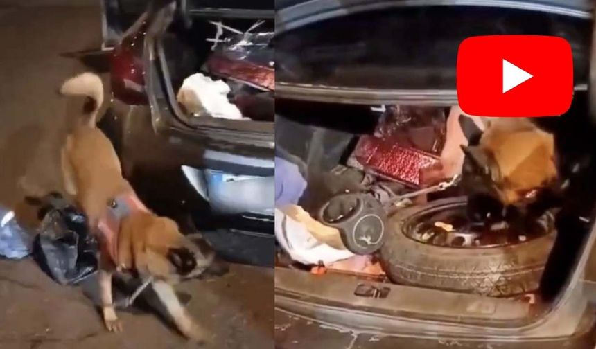 Osmaniye'de Yedek Lastikten 2 Kilo Esrar Çıktı