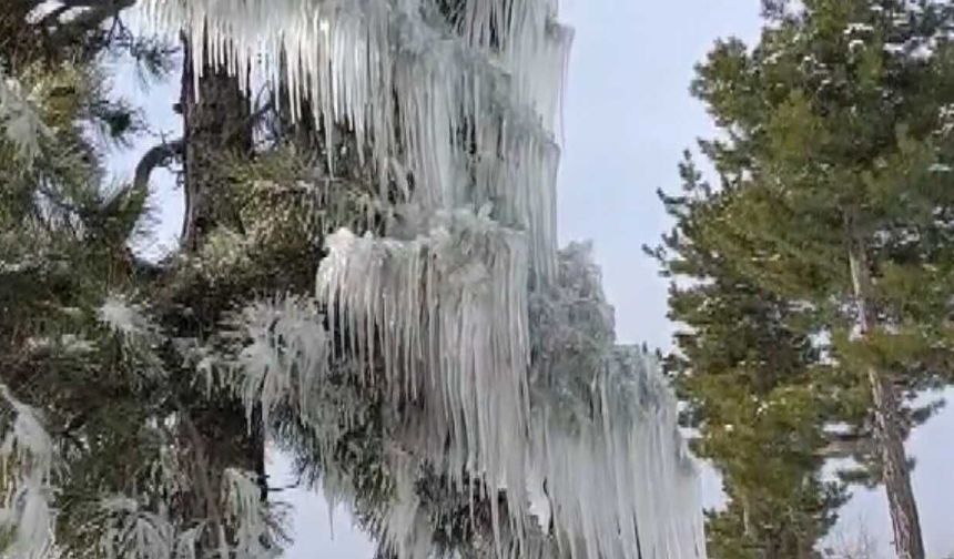 Saimbeyli’de Kar ve Buz Doğada Görsel Şölen Oluşturdu