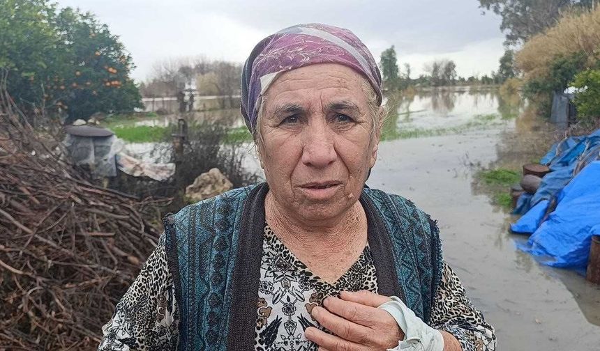 Selde mahsur kalan köpeği AKOM ekipleri kurtardı