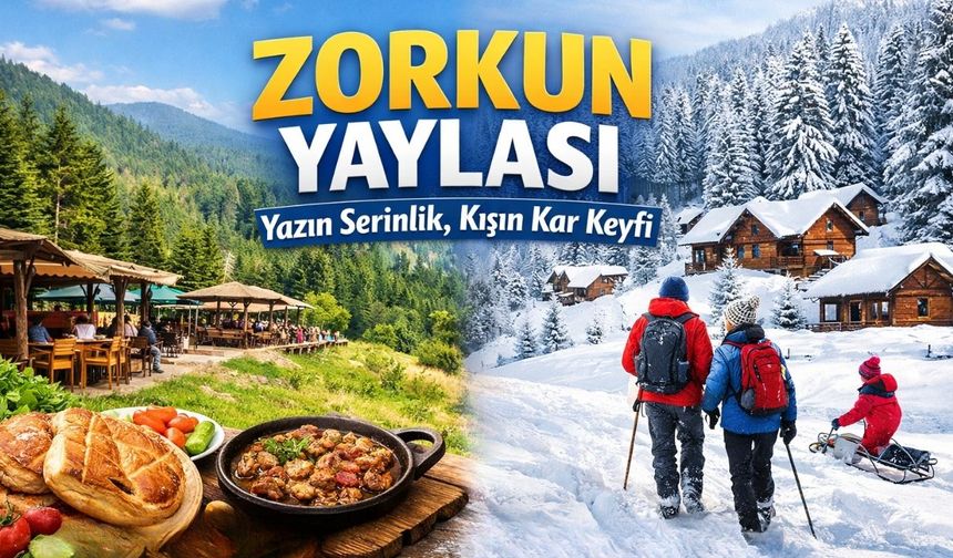 Zorkun Yaylası Dört Mevsim Turizmle Canlanmak İstiyor